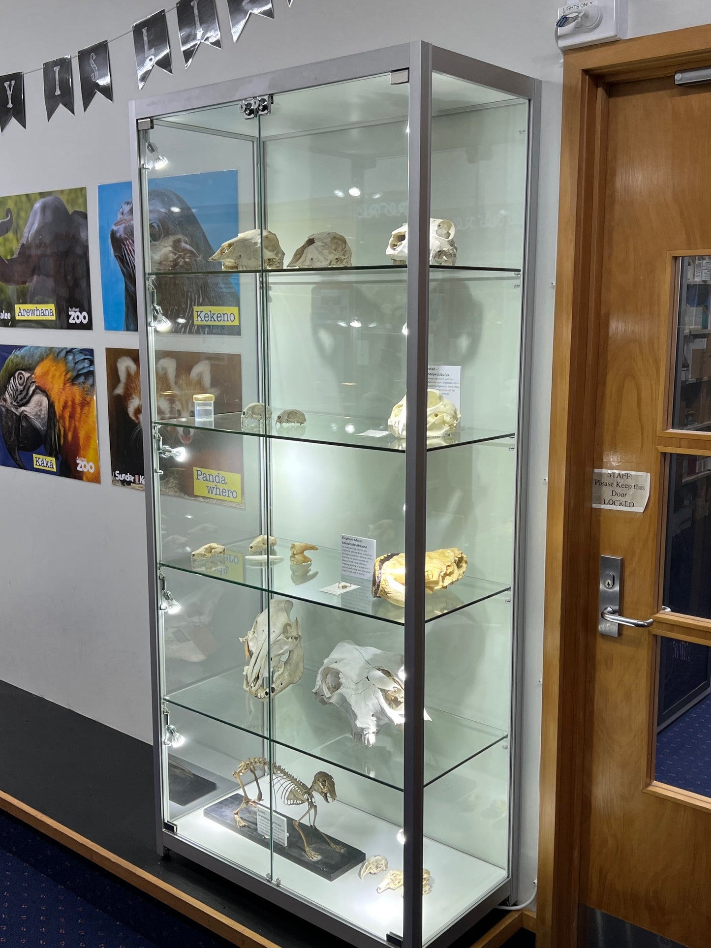 Framed Cabinet: SL800L